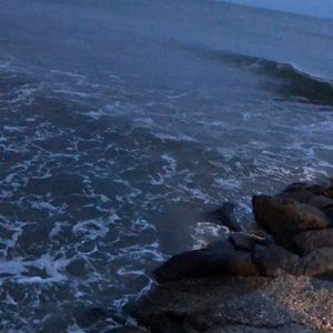 Meet your Posher, Dominika